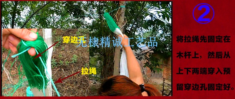 爬藤網(wǎng)