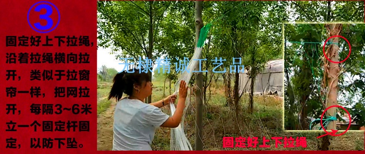 爬藤網(wǎng)